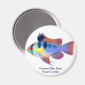 Duitse Blauwe Ram Dwerg Cichlid Magnet (Voorkant / Achterkant)