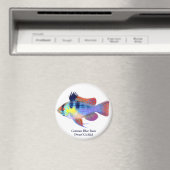 Duitse Blauwe Ram Dwerg Cichlid Magnet (Insitu (Vaatwasser))