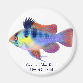 Duitse Blauwe Ram Dwerg Cichlid Magnet (Voorkant)