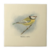  Duitse Blue Tit Illustration Tegeltje (Voorkant)