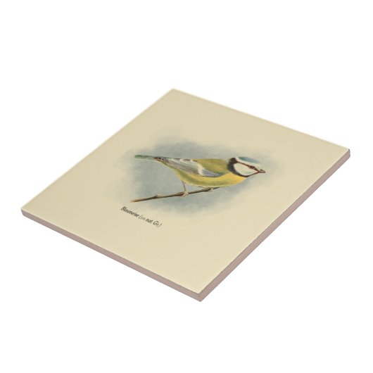  Duitse Blue Tit Illustration Tegeltje (Zijkant)