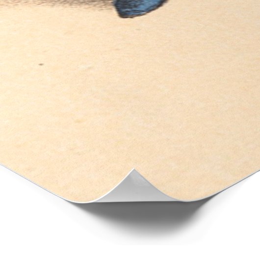 Duitse boerenkostuums - Wurtemberg Betzinger Poster (Hoek)