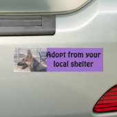 Duitse Bumpersticker Shepherd (Op auto)