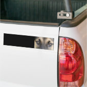 Duitse Bumpersticker Shepherd (Op Truck)