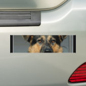 Duitse Bumpersticker Shepherd Dog (Op auto)