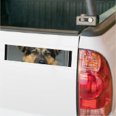 Duitse Bumpersticker Shepherd Dog (Op Truck)