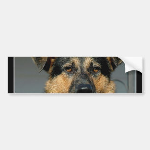 Duitse Bumpersticker Shepherd Dog