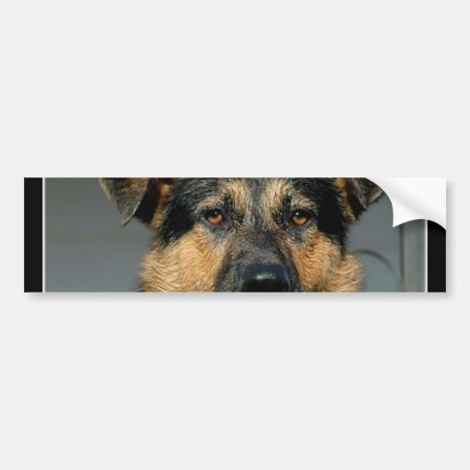 Duitse Bumpersticker Shepherd Dog (Voorkant)