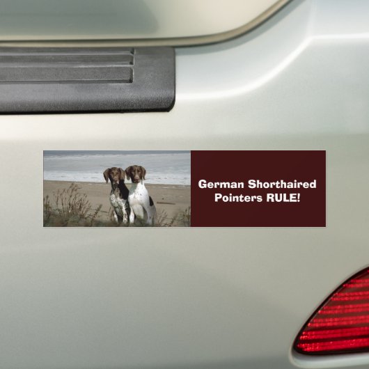 Duitse Bumpersticker Shorthaired Pointer (Op auto)