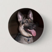 Duitse Button Shepherd (Voorkant)