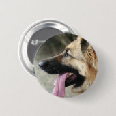 Duitse Button Shepherd (Voorkant /achterkant)