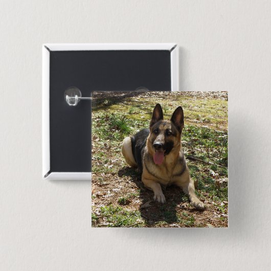 Duitse Button Shepherd (Voorkant /achterkant)