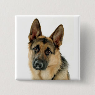 Duitse Button Shepherd Dog Pin