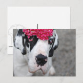 Duitse Dog met Bloemen Briefkaart (Voorkant / Achterkant)