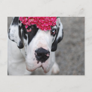 Duitse Dog met Bloemen Briefkaart