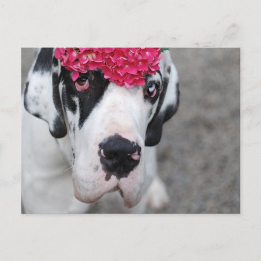 Duitse Dog met Bloemen Briefkaart (Voorkant)