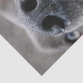 Duitse Dog Neus Tissuepapier (Detail)