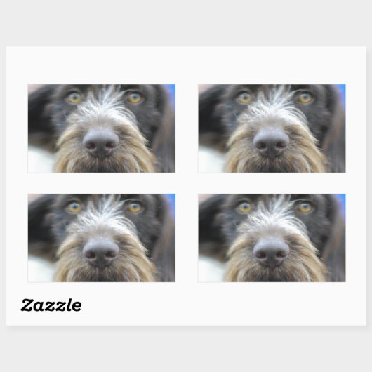 Duitse draad haired pointer Stickers (Vel)