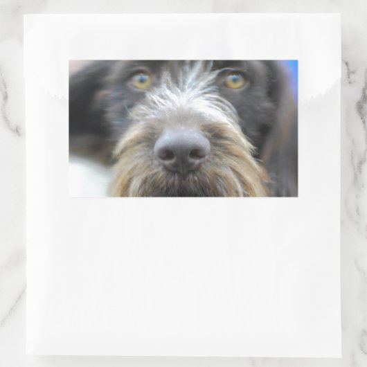 Duitse draad haired pointer Stickers (Tas)