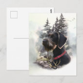 Duitse draadaanwijzer, GWP Briefkaart (Voorkant / Achterkant)