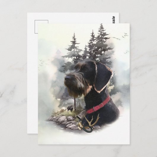 Duitse draadaanwijzer, GWP Briefkaart (Voorkant / Achterkant)