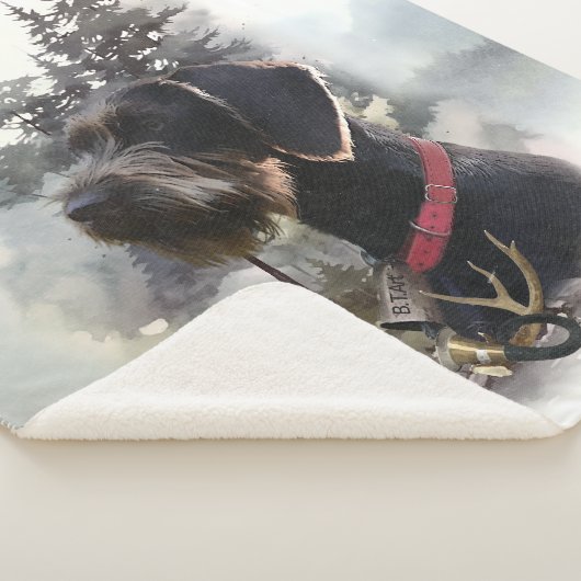 Duitse draadaanwijzer, GWP Sherpa Deken (3/4)