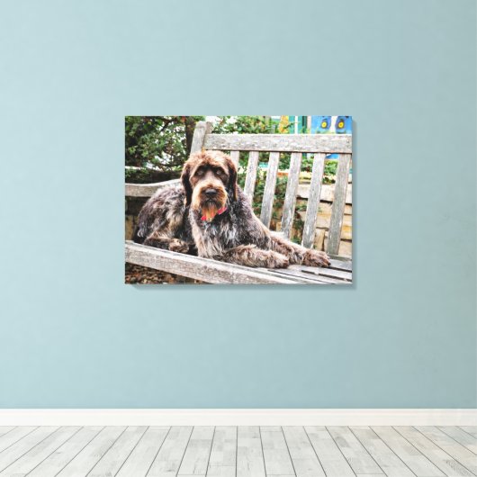 Duitse draadaanwijzer - Lexy Canvas Afdruk (Insitu (Houten vloer))