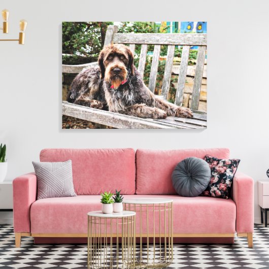 Duitse draadaanwijzer - Lexy Canvas Afdruk (Insitu (Woonkamer))