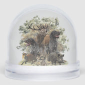 Duitse draadharige aanwijzer, jacht sneeuwbol (Voorkant)