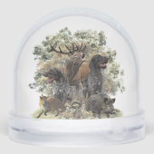 Duitse draadharige aanwijzer, jacht sneeuwbol (Achterkant)