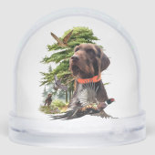 Duitse draadharige aanwijzer, jacht sneeuwbol (Achterkant)