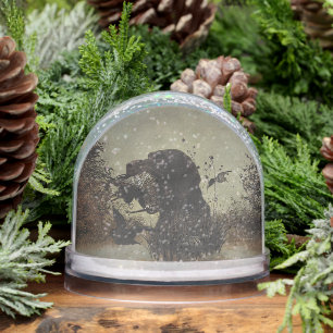 Duitse draadharige aanwijzer, jacht sneeuwbol