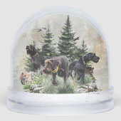 Duitse draadharige aanwijzer, jacht sneeuwbol (Voorkant)