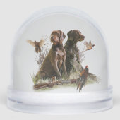 Duitse draadharige aanwijzer, jacht sneeuwbol (Voorkant)