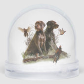 Duitse draadharige aanwijzer, jacht sneeuwbol (Achterkant)