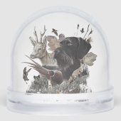 Duitse draadharige aanwijzer, jacht sneeuwbol (Achterkant)