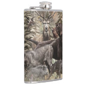 Duitse Draadharige Pointer Heupfles (Rechts)