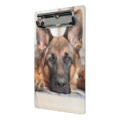 Duitse foto Shepherd/Dog Mini Klembord (Angled2)