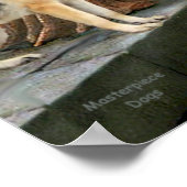 Duitse herder 13 - de colade poster (Hoek)