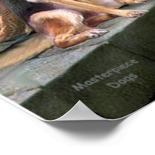 Duitse herder 1 - de colade poster (Hoek)