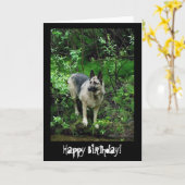 Duitse herder aan de kust: een gelukkige verjaarda kaart (Gele Bloem)