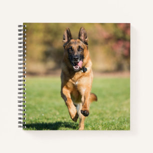 Duitse herder aan het rennen notitieboek