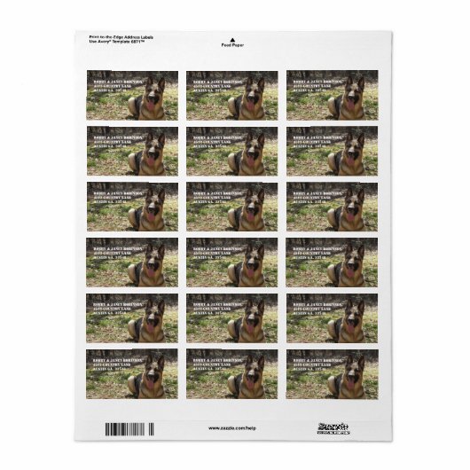 Duitse herder Adres Stickers (Full Sheet)
