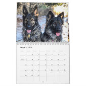 Duitse Herder avonturenkalender 2025 Kalender (Mar 2026)