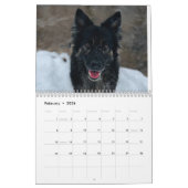 Duitse Herder avonturenkalender 2025 Kalender (Feb 2026)