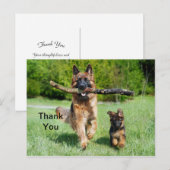 Duitse Herder Bedankt Ansichtkaart Briefkaart (Voorkant / Achterkant)