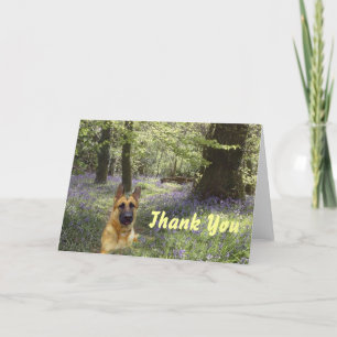 Duitse herder bedankt Card Forest