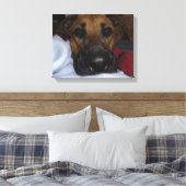 Duitse Herder / Boxer Mix close-up Canvas Afdruk (Insitu (Slaapkamer))