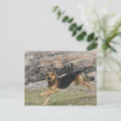 Duitse herder briefkaart (Staand voorkant)
