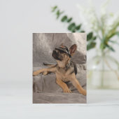 Duitse herder briefkaart (Staand voorkant)